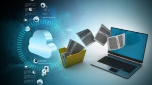 IPSAS Transition Management